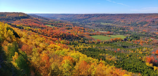 Beaver Valley in autumn with vibrant fall foliage and colorful landscapes in Ontario