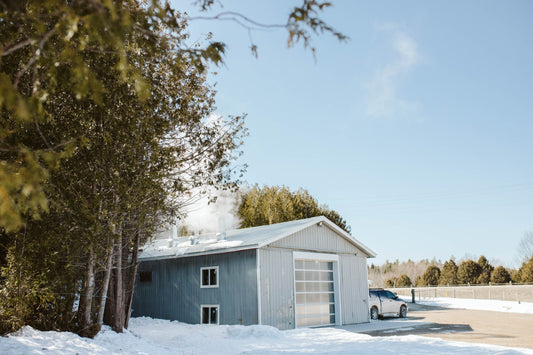 The Tapping Season: A Successful Year of Sap and Syrup