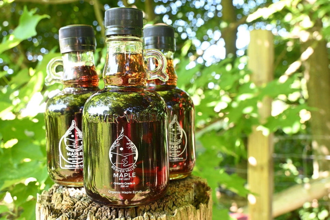 Three bottles of Beaver Valley Maple Syrup on a tree stump surrounded by lush green forest on the Niagara Escarpment