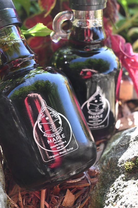 Beaver Valley Organic Maple Syrup bottles among autumn foliage, an ideal ingredient for maple cocktails