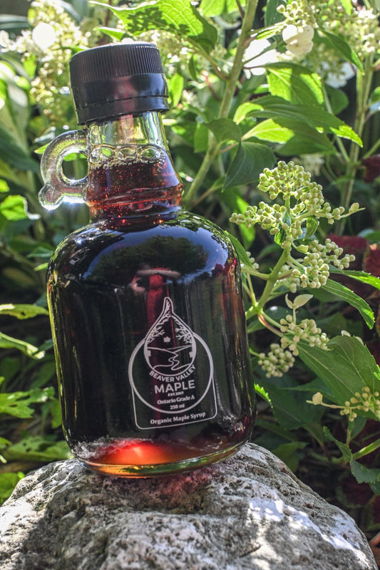 A bottle of Beaver Valley Organic Maple Syrup on a stone among summer foliage, ready for home baking